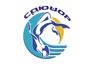 Логотип СДЮШОР Московской области